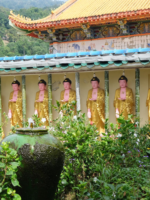 มาปีนัง อย่าลืมมาเช็คอินที่นี่! 📍วัดเต่า มาปีนัง อย่าลืมมาเช็คอินที่นี่! 📍วัดเต่า