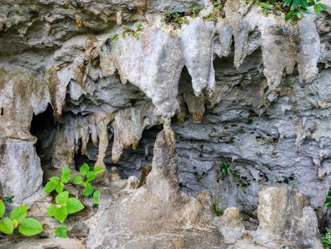 沖繩縣石垣島】日本唯一通往大海的神秘石灰岩洞穴｜Trip.com 石垣