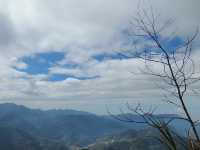 櫻花竹林秘境．石壁山壯麗之旅