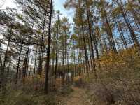 🏡 횡성 밀포레300 독채 풀빌라 펜션