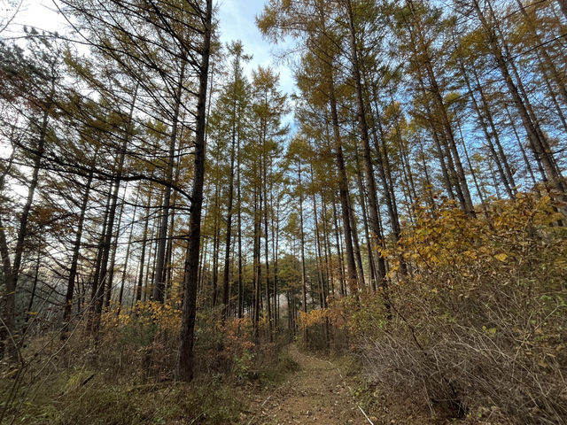 🏡 횡성 밀포레300 독채 풀빌라 펜션 🏡 횡성 밀포레300 독채 풀빌라 펜션