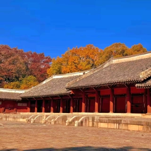 🏛️ Jongmyo Shrine – Seoul’s Timeless Confucian Heritage