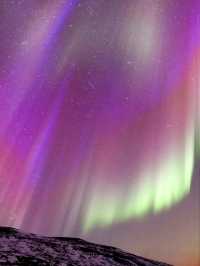 新西蘭🇳🇿 ‖ 南半球追光