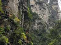 Zhangjiajie National forest park🙌🏼✨🔮