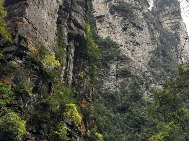 Zhangjiajie National forest park🙌🏼✨🔮 Zhangjiajie National forest park🙌🏼✨🔮