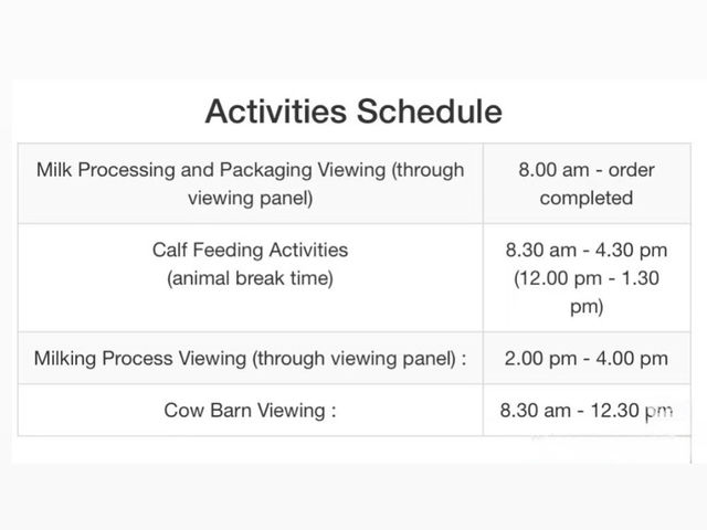 Fresh air, green hills, and happy cows—Kundasang perfection🐄⛰️ Fresh air, green hills, and happy cows—Kundasang perfection🐄⛰️