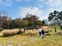 Evergreen Garden: Pyeongtaek’s Secret Sanctuary of Stillness🌿