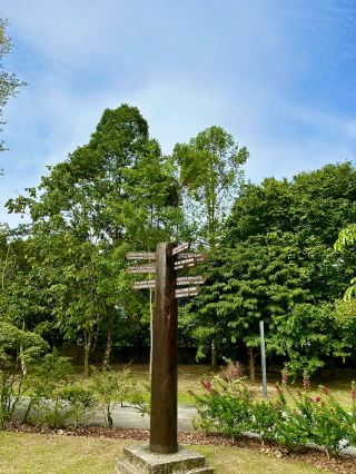 Adventure Awaits FRIM🍁  Where Malaysia’s Rainforest Comes Alive