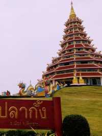 🐲 วัดห้วยปลากั้ง (เชียงราย)