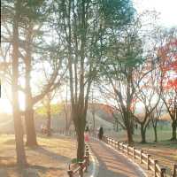 ๐๊ฒฝ์ฃผ์ ๋ฐค์ ๋น์ ์ ๋ฎ๋ณด๋ค ์๋ฆ๋ต๋ค