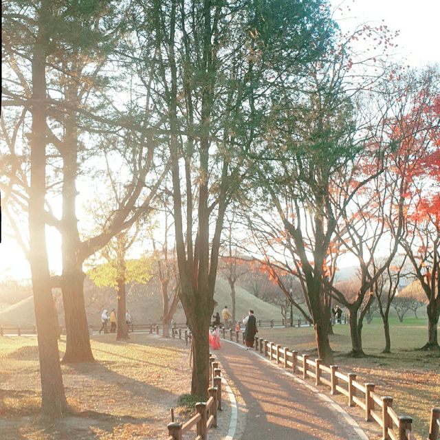 ๐๊ฒฝ์ฃผ์ ๋ฐค์ ๋น์ ์ ๋ฎ๋ณด๋ค ์๋ฆ๋ต๋ค ๐๊ฒฝ์ฃผ์ ๋ฐค์ ๋น์ ์ ๋ฎ๋ณด๋ค ์๋ฆ๋ต๋ค