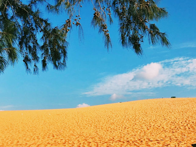 越南🇻🇳紅沙丘 越南🇻🇳紅沙丘