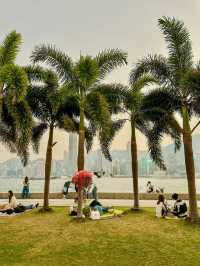 Cerulean Tides and Twinkling Lights: A Harbourfront Christmas