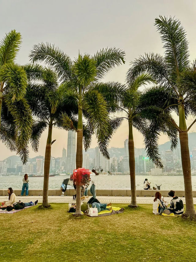 Cerulean Tides and Twinkling Lights: A Harbourfront Christmas Cerulean Tides and Twinkling Lights: A Harbourfront Christmas