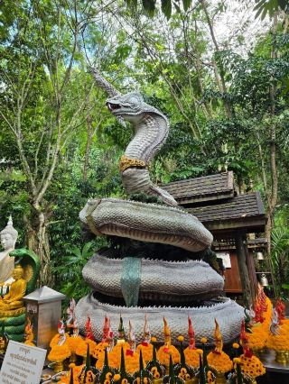跟住明星去清邁「Mon Kuwen」祈福求好運！