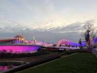 Shanghai Night Magic✨