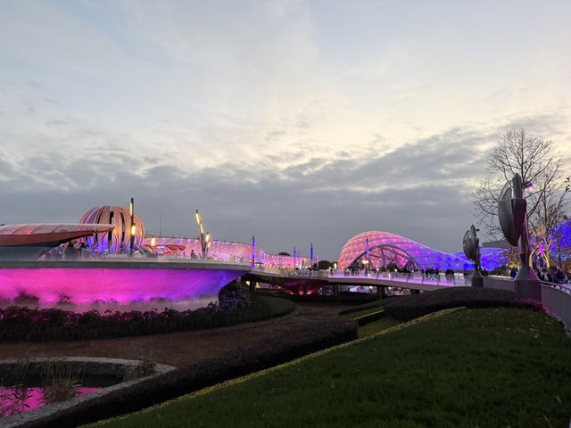 Shanghai Night Magic✨