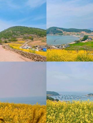 The Flow of Time in a Serene Landscape