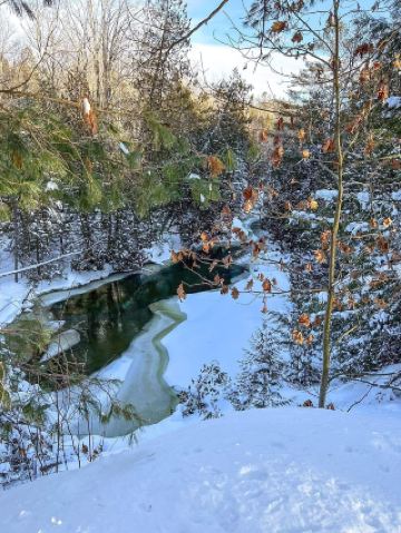 Winter in Midhurst, Simcoe County, is a veritable northern fairytale—endless white forests, shimmering snow, and every step a tranquil, poetic adventure. This trip especially recommends a hike along Midhurst's famous Trout Trail, offering a relaxed overview of the winter landscape and allowing you to experience the most authentic natural beauty of Canada.

Entering the snow-covered forest, every step is a challenge.

Located in Midhurst, the Trout Trail in winter offers views of snow-covered trees and streams, with towering pines and low shrubs all draped in a blanket of ice and snow. The biggest takeaway from this trip was how challenging walking in the snow is. It's slippery, the snow is thick, and tree roots and loose rocks are often covered, requiring extra caution with every step! If you're going in winter, I highly recommend bringing snow boots and trekking poles for safety and to conserve energy. Hiking in the snow is physically demanding, so remember to bring warm drinks and rest stops along the way.

Trout Trail Scenic Recommendations
The entire trail roughly follows Bayfield St, approximately 2 kilometers long, and is not too physically demanding to complete. Recommended highlights include:

1. Forest Ski Trail: The entrance is surrounded by a vast expanse of snow-covered forest, with branches laden with frost, creating a winter wonderland atmosphere.

2. Near-Reach Stream: A small stream flows through the trail, often with thin ice on the surface and snow-covered banks in winter, offering a unique and picturesque scene. (A must-visit for photos!)

3. Native Forest: The entire trail marks a nature reserve, allowing you to spot wildlife along the way. Adventure enthusiasts will not be disappointed.

4. Deep Forest Side Paths: Some side paths offer quieter sections with deeper snow, perfect for experiencing the pristine tranquility of nature.

Trip Tips

1. Trails can be challenging in winter.