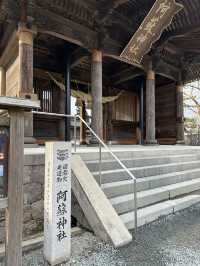 草千里變雪千里？！冬日阿蘇火山一日遊🌋