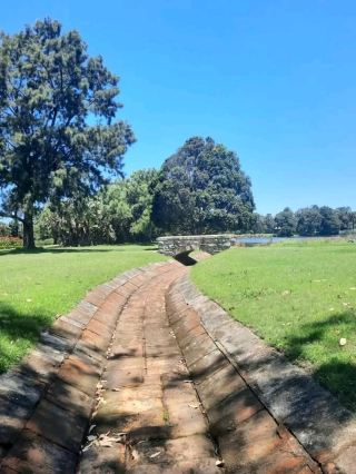 公園が大好きです。とても広くて美しいです。