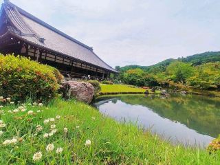 Zen Vibes & Timeless Beauty at Tenryu-ji Temple 🌸🧘‍♂️