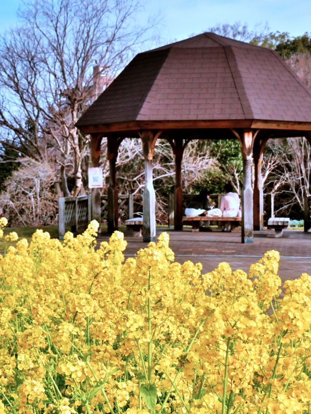 A Hidden Wonderland in Urban Osaka! 