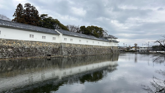 日本國寶 彥根城