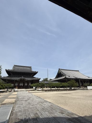 日本🇯🇵】真宗高田派の総本山！高田本山専修寺 | Trip.com