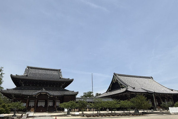 日本🇯🇵】真宗高田派の総本山！高田本山専修寺 | Trip.com