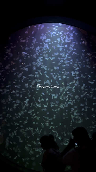 One of the Most Beautiful Attractions in Singapore