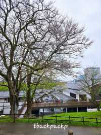 Day 3 ย้ายเมืองไปที่ Kumamoto กับ Rpadtrip ยาวๆจาก Yufuin ตามไปเที่ยวกัน 🚗 (Apr 26)