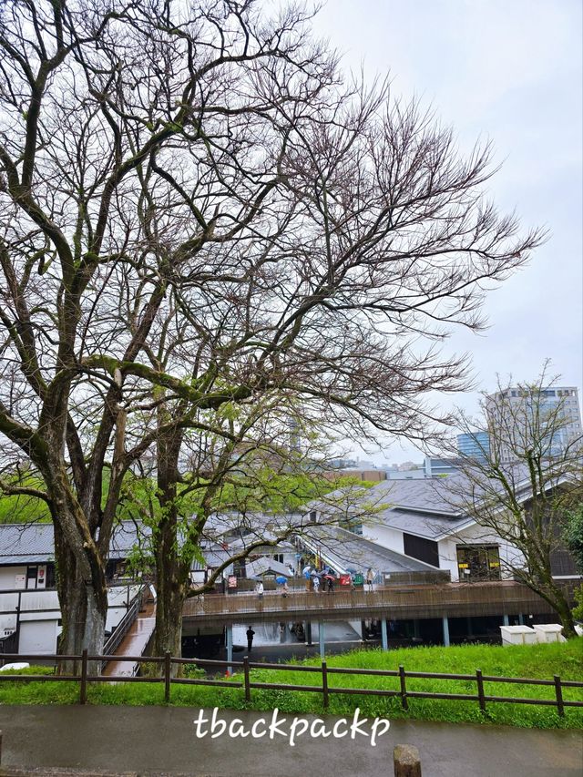 Day 3 ย้ายเมืองไปที่ Kumamoto กับ Rpadtrip ยาวๆจาก Yufuin ตามไปเที่ยวกัน 🚗 (Apr 26)