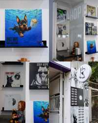DOBY HOPE: คาเฟ่ไอศกรีมโฮมเมดสไตล์ชิคสุดคูล 🍦