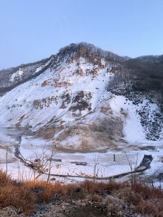 登別兩日一夜:地獄谷與日式溫泉之旅 ♨️🌋
蒸氣從地底升騰,神秘的火山地貌,以及在傳統日式溫泉中放鬆身心-歡迎來到登別。
如果您想遠離塵囂的都市,尋找寧靜的世外桃源,那麼登別兩日一夜之旅將是您在北海道的完美選擇。登別以其壯麗的地獄谷和豐富的溫泉文化而聞名,完美融合了自然風景、休閒放鬆和日式傳統。地獄谷是由火山活動形成的火山口,也是登別溫泉的主要泉源之一。 (北海道觀光官方頻道 HOKKAIDO LOVE!)
🌋 第一天 — 踏入蒸汽之鄉
上午 10:00 — 抵達登別
清晨啟程,前往著名的溫泉度假小鎮登別溫泉。小鎮四周群山環繞,森林密布,硫磺的氣味和升騰的蒸氣營造出獨特的氛圍。
抵達後,您可以將行李寄存在旅館或飯店,然後花些時間漫步於迷人的街道。
上午 11:00 — 探索地獄谷
您的第一站是地獄谷。
不要被它的名字嚇到——這裡是北海道最迷人的自然景觀之一。地獄谷是一個直徑約450公尺的火山口,遍布蒸汽噴射孔、溫泉和嶙峋的黃灰色岩石。這裡每天自然湧出約1萬噸溫泉水。 (北海道觀光公式サイト HOKKAIDO LOVE!)
沿著步道漫步,在觀景點駐足,欣賞從地面升騰而起的白色蒸氣。火山地形與周圍鬱鬱蔥蔥的植被形成鮮明對比,使這裡成為令人難忘的拍照勝地。
📸 旅遊小秘訣:請放慢腳步,細細品味。這裡的氛圍與一般的觀光景點截然不同──彷彿置身於一座活火山旁。
下午1:00 — 在登別溫泉享用午餐
遊覽地獄谷後,返回溫泉小鎮享用午餐。
品嚐一些當地特色日式料理,然後再繼續您的下午探險之旅。天氣涼爽時,一頓熱騰騰的飯菜格外令人愉悅。
下午 2:30 — 探索大湯沼
繼續前往大湯沼,這是一個被蒸汽和森林環繞的天然火山溫泉池。
這裡的景色宛如另一個世界。蒸氣在水面上飄蕩,濃烈的硫磺味提醒著你,腳下的地熱活動依然活躍。
如果天氣允許,你還可以探索周圍的步道,欣賞寧靜的森林美景。
下午 4:00 — 入住傳統日式旅館
現在到了旅程中最放鬆的時刻。
入住傳統的日式旅館,體驗溫泉文化的魅力。換上浴衣,放慢腳步,遠離塵囂。
登別以其種類繁多的富含礦物質的溫泉而聞名,度假區內有多種不同類型的溫泉水。 (北海道觀光官方頻道 HOKKAIDO LOVE!)
♨️ 下午 5:00 — 泡溫泉
在溫泉中享受悠閒的泡澡,為下午畫上完美的句號。
想像一下,坐在綠樹環繞的露天浴池裡,感受著富含礦物質的溫暖泉水,清涼的北海道微風拂過臉龐。這樣的體驗會讓你徹底忘記手機和日常瑣事。
此刻,放慢腳步,享受片刻寧靜。
🍱 晚上 7:00 — 享用傳統日式晚餐
泡完溫泉後,回到您的日式旅館享用豐盛的日式晚餐。
一頓傳統的日式多道菜晚餐,定會讓夜晚成為旅程中的另一個亮點。慢慢品嚐每一道菜,感受日式溫泉旅館的靜謐氛圍。
🌙 晚上 8:30 — 地獄谷夜遊
若您還有精力,不妨前往戶外,體驗一次神奇的夜遊。
日落後,「鬼火之道」(Onibi no Michi)—「鬼火之路」—照亮了地獄谷周圍的步道。蒸氣在黑暗中升騰,柔和的燈光指引著遊客沿著小徑前行,營造出神秘又充滿氛圍的景象。目前官方資料顯示,燈光照明時間為日落至晚上9:30。 (北海道觀光官方 HOKKAIDO LOVE!)
這與白天遊覽地獄谷的體驗截然不同。
之後返回您的日式旅館,在登別享受一個寧靜的夜晚。
⸻
🌲 第二天 — 自然風光、早餐與最後一次溫泉
早上7:30 — 悠閒的早晨
早起後,在您的日式旅館享用傳統的日式早餐。
無需匆忙。您可以沿著靜謐的街道漫步,欣賞溫泉小鎮清晨升騰的蒸氣。
♨️ 上午 9:00 — 最後一次泡溫泉
退房前,不妨再泡一次溫泉。
第二次泡溫泉感覺更棒——或許是因為你已經沒有其他地方可以去了。
深吸一口氣,享受溫暖的溫泉水,盡情享受在登別的最後時光。
上午 10:30 — 淺間公園及週邊街道
退房後,您可以探索附近的街道和淺間公園。
這裡到處都是以惡魔為主題的裝飾,體現了登別獨特的民間傳說和溫泉文化。惡魔、地獄谷與溫泉之間的聯繫,正是登別獨特個性的來源之一。 (一般社団法人登別國際観光コンベンション協會)
中午 12:00 — 午餐及紀念品購物
在登別享用最後一頓午餐,之後逛逛當地的商店。
尋找一些以當地著名的鬼怪為主題的小紀念品、日式點心或北海道特產帶回家。
下午 1:30 — 最後欣賞登別
離開前,請留出最後片刻欣賞這裡的景色。
街上飄散的白色蒸汽、空氣中瀰漫的硫磺味以及溫泉水潺潺的流水聲,這些都構成了照片無法完全捕捉的美好回憶。
然後,繼續您的北海道之旅。
⸻
✨ 為什麼登別值得一遊
登別不只是一個溫泉勝地。
這裡是火山地形與傳統日本文化交融之地。短短兩天,您便可漫步於蒸氣繚繞的火山峽谷,探索神秘的地熱景觀,入住日式旅館,並在天然溫泉中放鬆身心。
最棒的是什麼?
您無需匆忙趕路。
慢慢走,慢慢泡,慢慢呼吸。
這就是登別兩日一夜之旅的魅力所在。
📍 旅行亮點
🌋 地獄谷 — 壯麗的火山景觀
♨️ 登別溫泉 — 放鬆身心的日式溫泉體驗
🌙 鬼火之道 — 充滿神秘氣息的夜間漫步
🌲 大湯沼 — 神秘的地熱景觀
🏯 日式旅館住宿 — 體驗傳統的日式待客之道
🍱 日式晚餐 — 難忘的當地美食體驗
登別是個值得您為美景而來,為溫泉而留,為那份難忘的感受而紀念的地方。 ♨️🌋 #登別 #溫泉 #日本旅行 #2026旅行