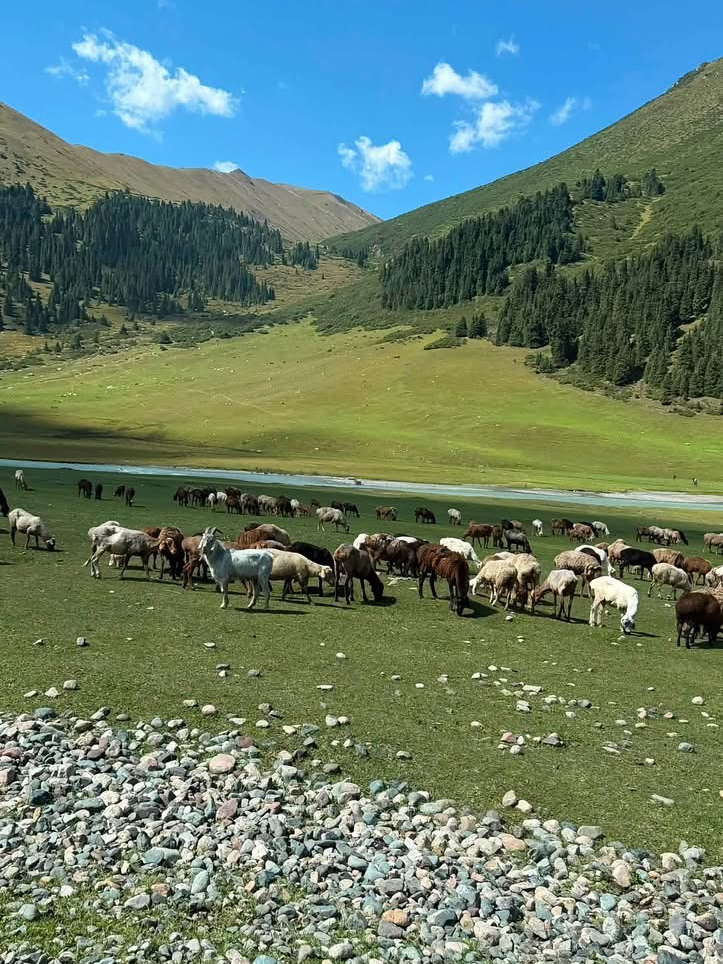 Why I Keep Going Back to the Wild Magic of Kyrgyzstan