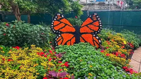 🍁 A Colorful Autumn Escape at Franklin Park Conservatory 🌿 — traveler post in Columbus
