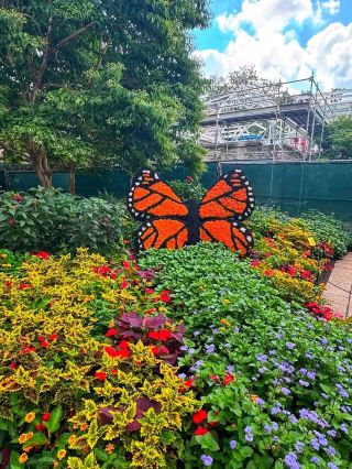 🍁 A Colorful Autumn Escape at Franklin Park Conservatory 🌿