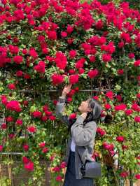앞으로 한달 뒤 만날 수 있는 서울 장미스팟🌹