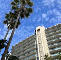 Beautiful & Sunny San Diego! ☀️🌴