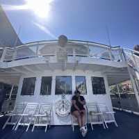 Wendella Architecture Boat Tour in Chicago 