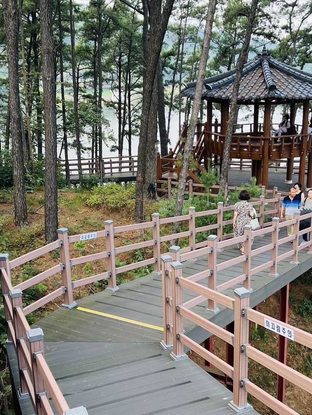 As a nature lover you will enjoy this place to relax your mind