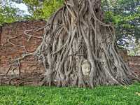 🌍 Explore the Ancient Wonders of Ayutthaya! 🏛️