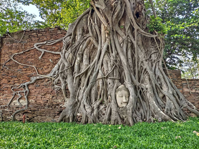🌍 Explore the Ancient Wonders of Ayutthaya! 🏛️