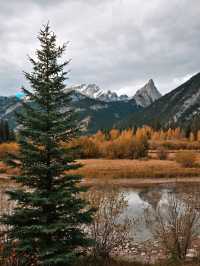 Banff's hidden gem for those who don't like hiking💎