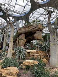 Shanghai Greenhouse Garden