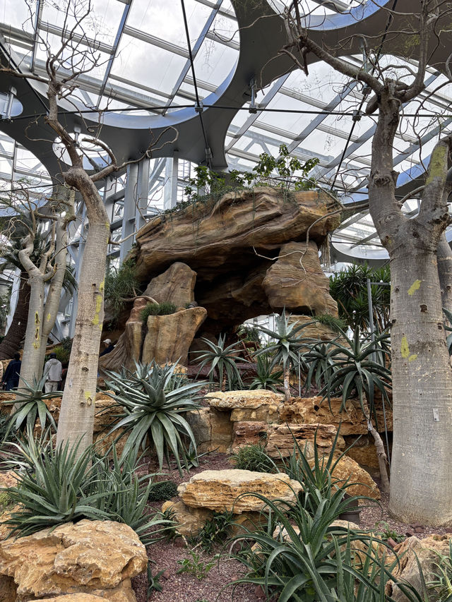 Shanghai Greenhouse Garden