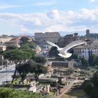 The Best Central Viewpoint in Rome