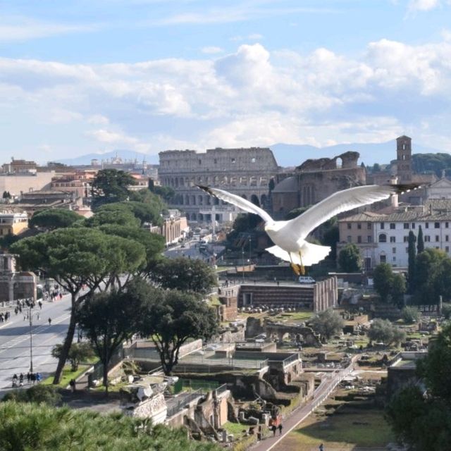 The Best Central Viewpoint in Rome