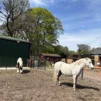 Tollcross farm park